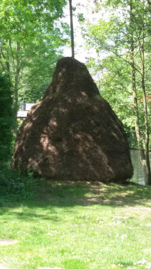 Appartamento Kastanienhof Luebben Esterno foto